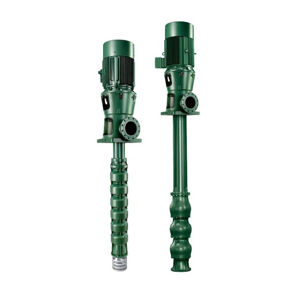 https://electricalrewinds.ie/wp-content/uploads/2019/07/Caprari-Vertical-Line-Shaft-Pumps-ERS-Sales-Pumps.jpg